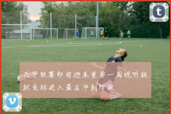 西甲联赛即将迎来重要一周视听版权竞标进入最后冲刺阶段